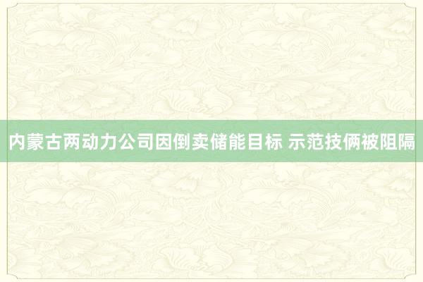 内蒙古两动力公司因倒卖储能目标 示范技俩被阻隔